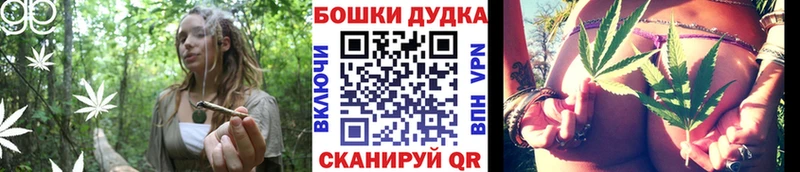 Купить закладку Гашиш  Псилоцибиновые грибы  КОКАИН  Меф мяу мяу  Амфетамин  Конопля  A PVP  Светогорск