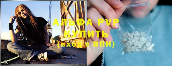 индика Горно-Алтайск