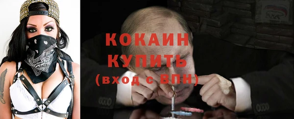 индика Горно-Алтайск