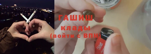 гидра Вязьма