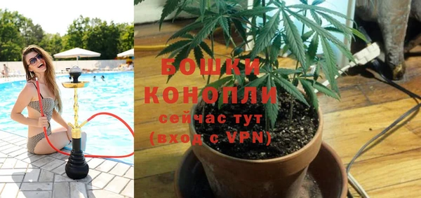 гидра Вязьма