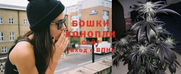 индика Горно-Алтайск