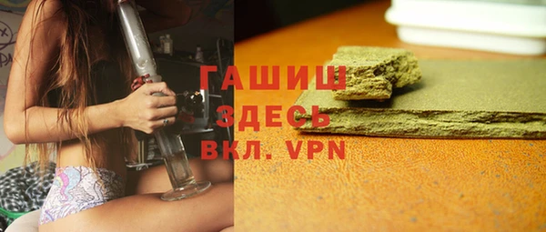гидра Вязьма
