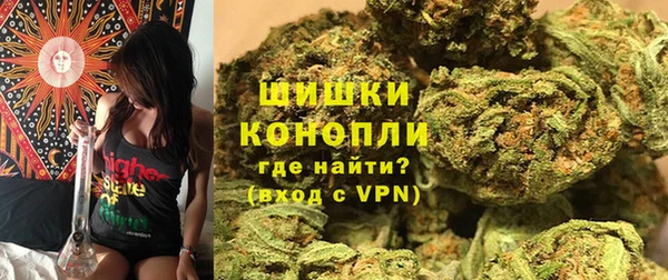 индика Горно-Алтайск