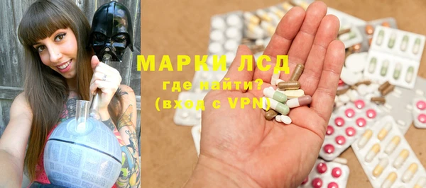 индика Горно-Алтайск