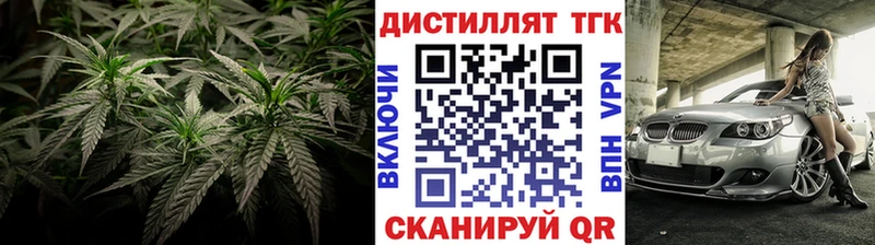Купить  Светогорск  ТГК Wax 