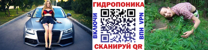 Купить  Светогорск  МАРИХУАНА Ganja 